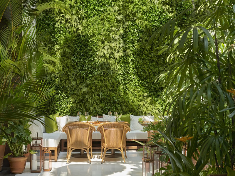 🌳光と緑、デザインと美食のシンガポール・エディション