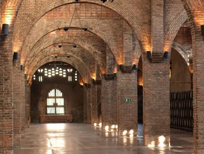 Codorníuの歴史とカヴァ製造過程を見学！	