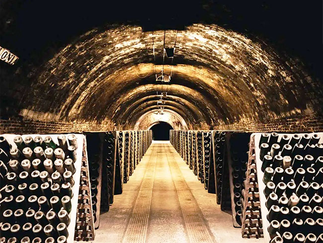 Codorníuの歴史とカヴァ製造過程を見学！	