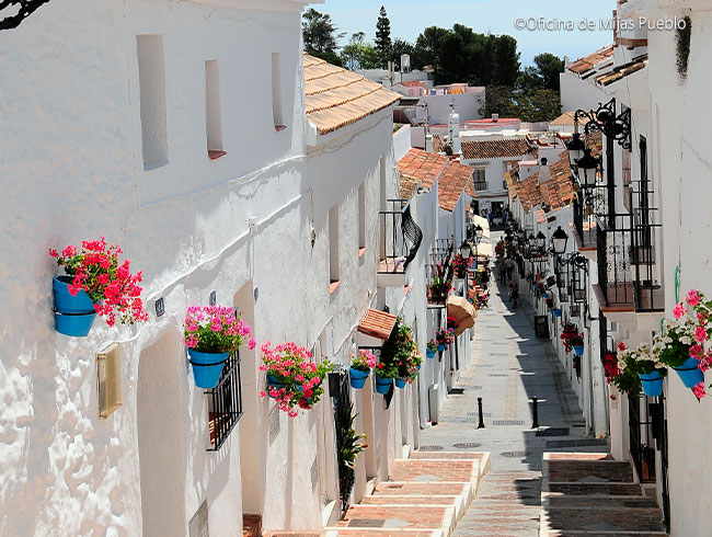 入り組んだミハスの街もガイドの案内でくまなく散策！