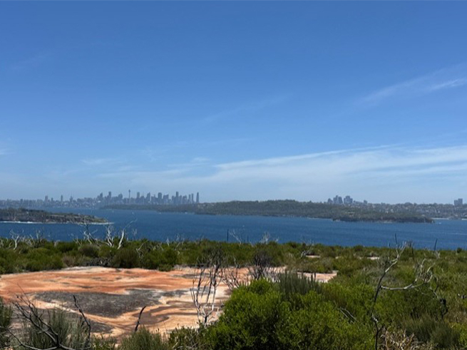 ノースヘッド展望とランチで充実の1日