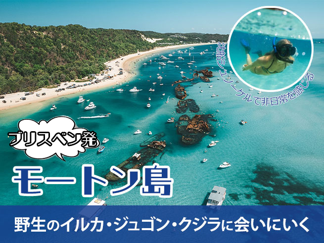 【タンガルーマ】沈没船シュノーケル｜モートン島で感動体験（ランチ付き・選べる送迎）
