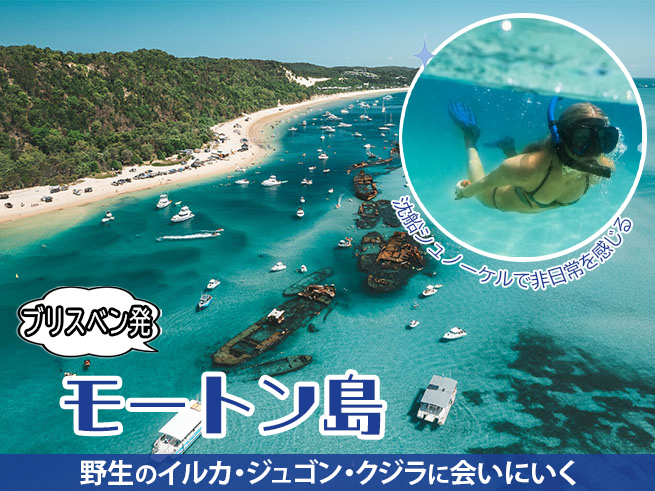 【タンガルーマ】沈没船シュノーケル｜モートン島で感動体験（ランチ付き・選べる送迎）