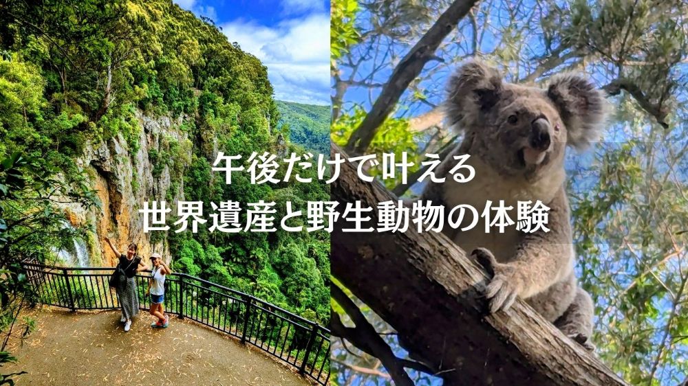午後の世界遺産・スプリングブルック国立公園と野生動物探検（日本語ツアー/送迎付き）