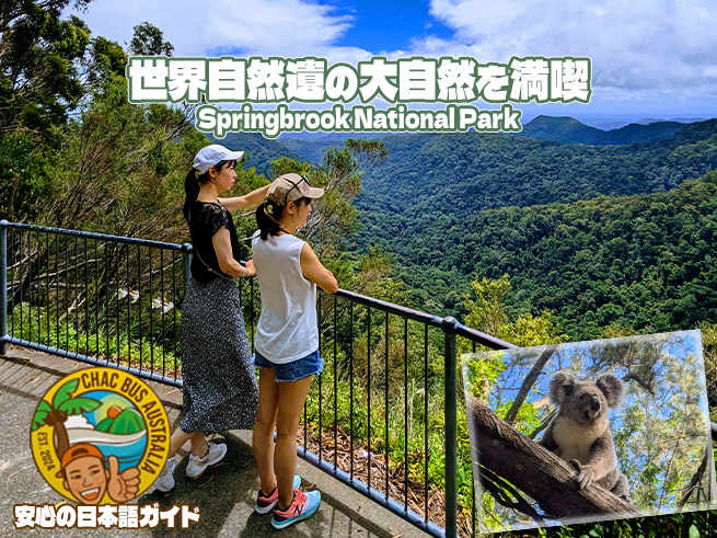 世界遺産スプリングブルック国立公園と野生動物探検（日本語ガイド）
