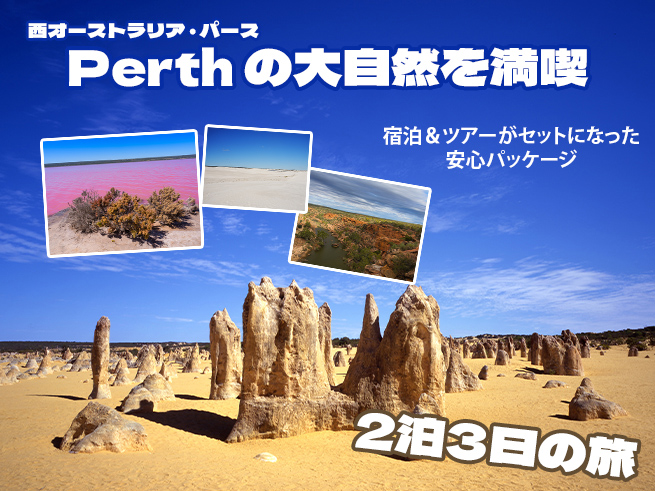 【ピンクレイク・カルバリ国立公園・ピナクルズ】ワイルドフラワーと絶景を巡る感動の3日間