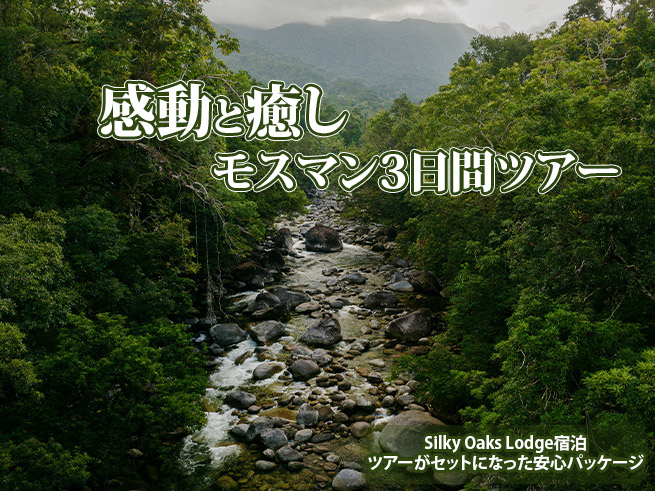  完全自然界隈モスマン・シルキーオークス3日間の癒し旅