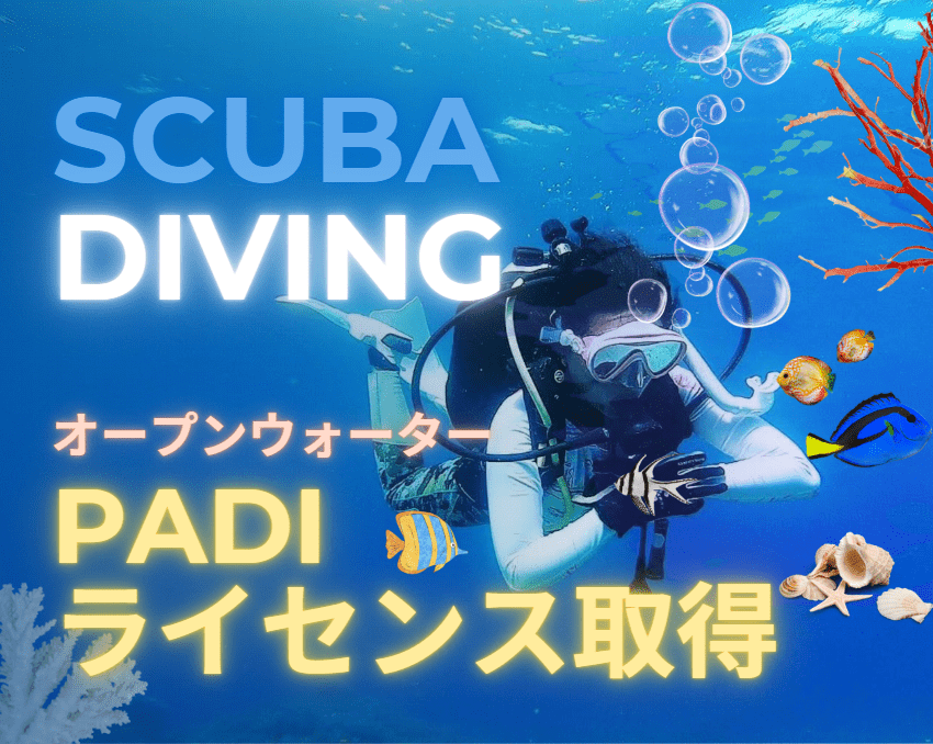 【ダイビングライセンス取得】PADIオープンウォーターライセンス取得コース２日間＋事前学習eラーニング付き　