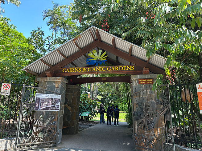 熱帯植物と写真映えスポット