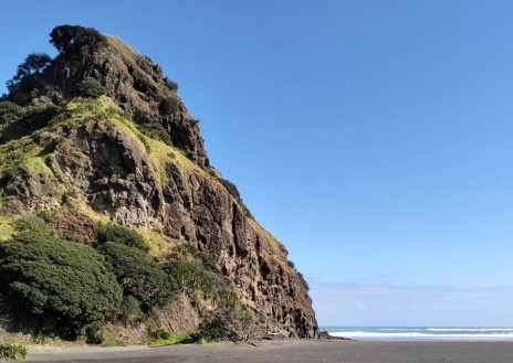 カウリ＆タスマン海も見られる！NZの大自然たっぷり満喫ツアー（日本語ガイド付き）