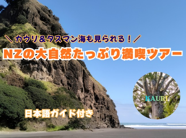 カウリ＆タスマン海も見られる！NZの大自然たっぷり満喫ツアー（日本語ガイド付き）