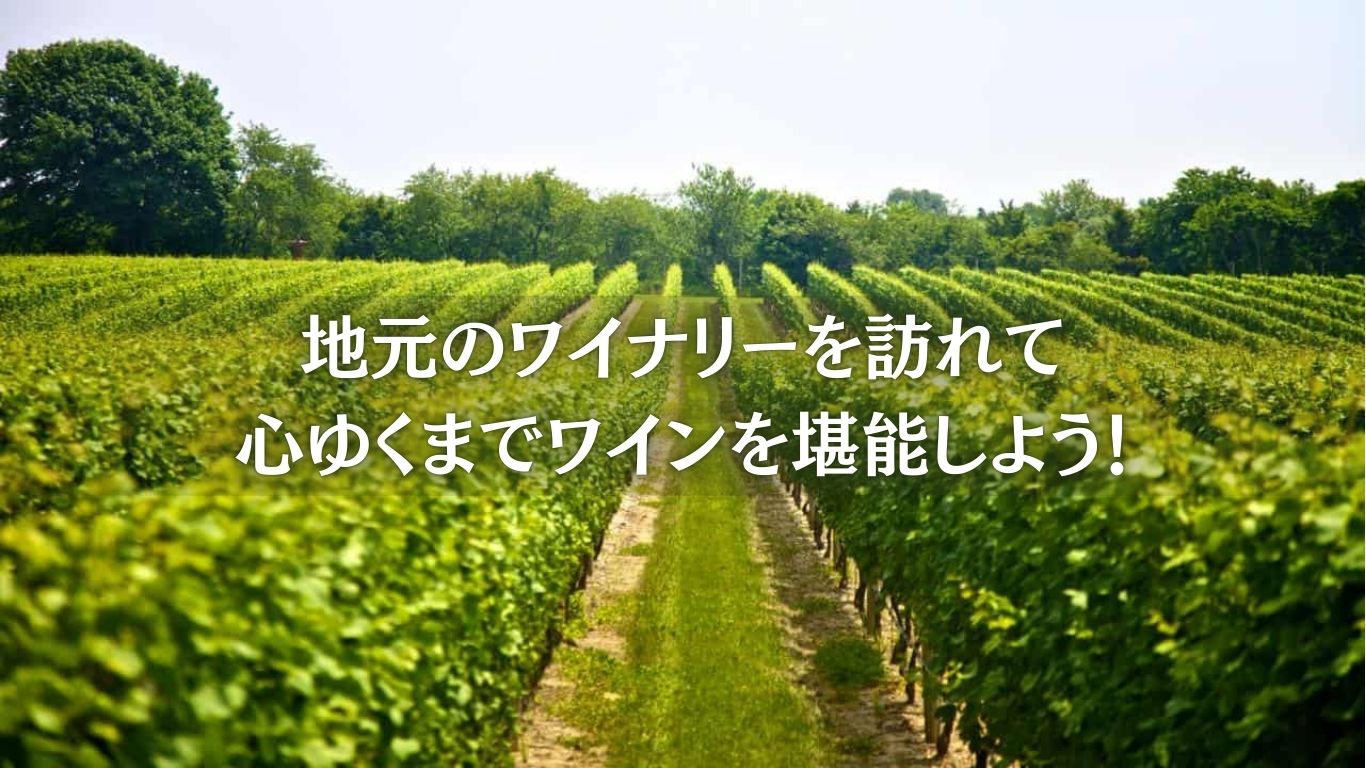 【専用車】タンボリンマウンテン・プレミアムツアー「贅沢コーストとワイナリー巡り」（日本語ドライバーガイド）