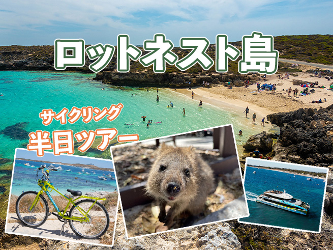 日本語ガイドと行く！【絶景×サイクリング×クオッカ】ロットネスト島ツアー・送迎付き/半日・1Day選択可