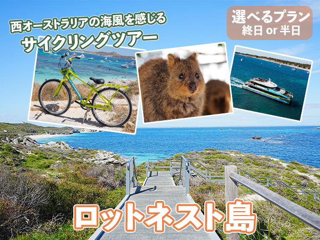 日本語ガイドと行く！【絶景×サイクリング×クオッカ】ロットネスト島ツアー（送迎付き）