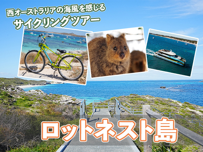 日本語ガイドと行く！【絶景×サイクリング×クオッカ】ロットネスト島ツアー・送迎付き/半日・1Day選択可