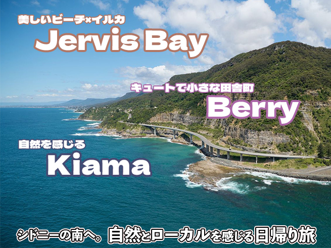 【ジャービスベイ日帰りツアー】心を癒す海の絶景＆ローカルの田舎町を満喫