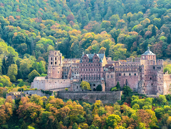 専用車だから1日で効率よく！🚗ハイデルベルク＋お好きな街(リューデスハイムもしくはローテンブルク)をお選びください。