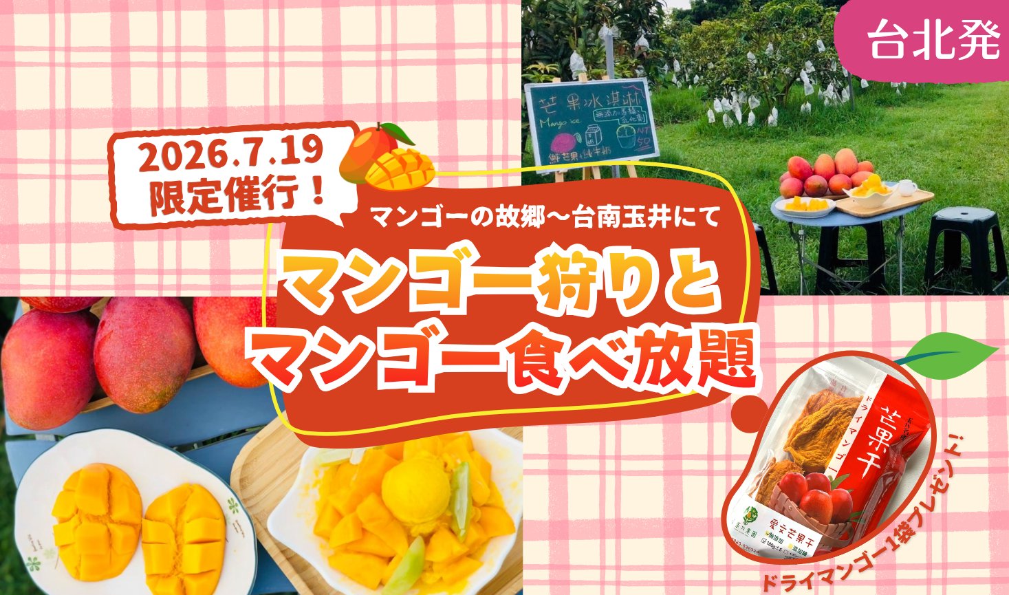 ＜台北発＞2026年7月19日限定！マンゴーの故郷 台南玉井にてマンゴー狩りとマンゴー食べ放題♪（ツアー後自由にスケジュールが組める新幹線往路のみプランもあり！)