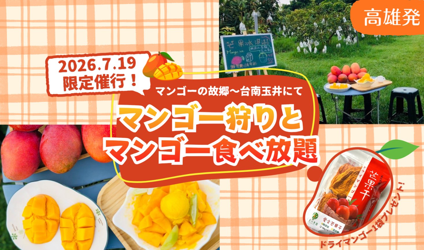 ＜高雄発＞2026年7月19日限定！マンゴーの故郷 台南玉井にてマンゴー狩りとマンゴー食べ放題♪