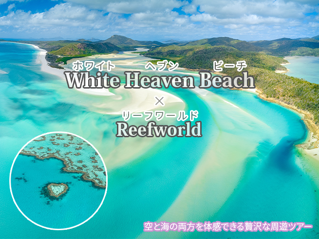 【遊覧飛行】ホワイトヘブンビーチ＆リーフワールド（Best of Both Worlds）