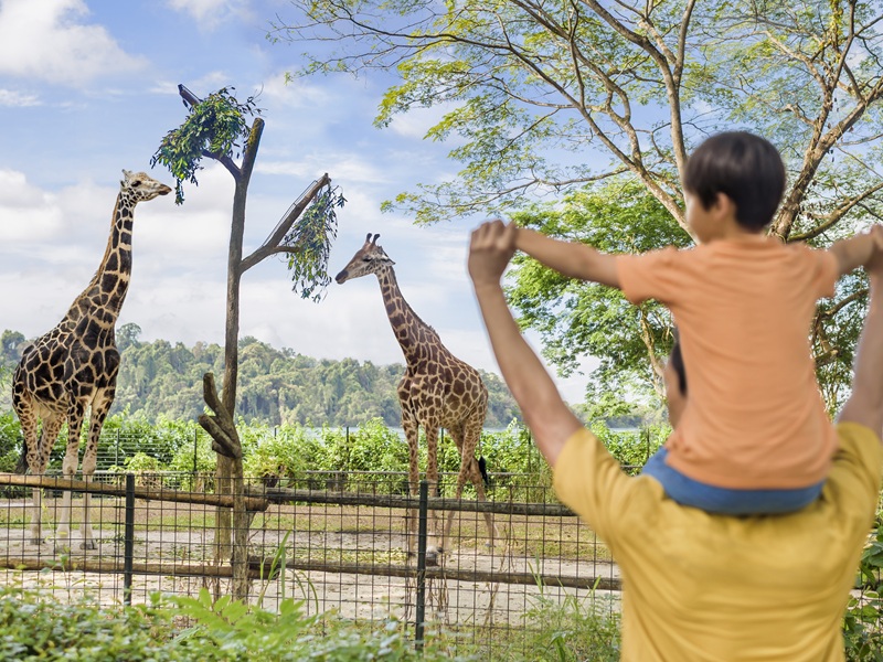 ✨✨✨ コルゴキャンプ 見どころ3選 ✨✨✨