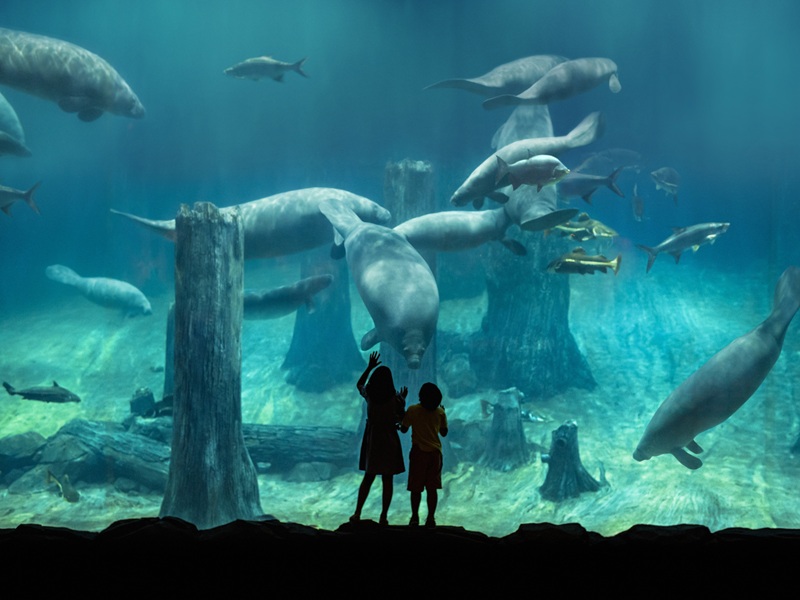 ✨✨✨ コルゴキャンプ 見どころ3選 ✨✨✨