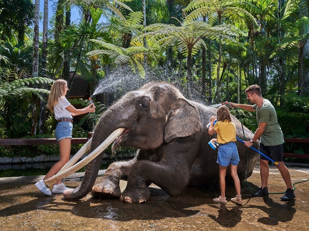 バリ島1日満喫ツアー・象との触合い＆キンタマー二高原＆ウブド散策
