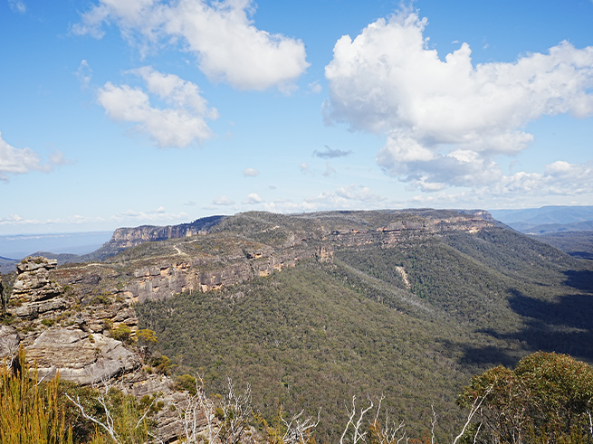 【日本語ガイド】世界遺産ブルーマウンテンズ＆シドニー湾クルーズの旅