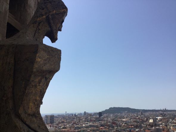 最高傑作・世界遺産サグラダ・ファミリア入場見学+塔エレベーター見学付プラン!