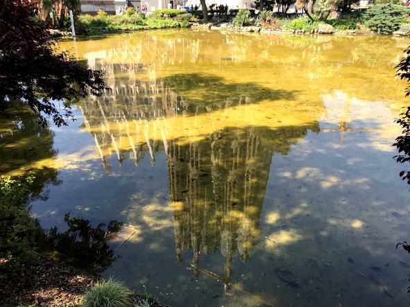 運が良ければ、逆さサグラダ・ファミリアを見れる絶景ポイントもご紹介!