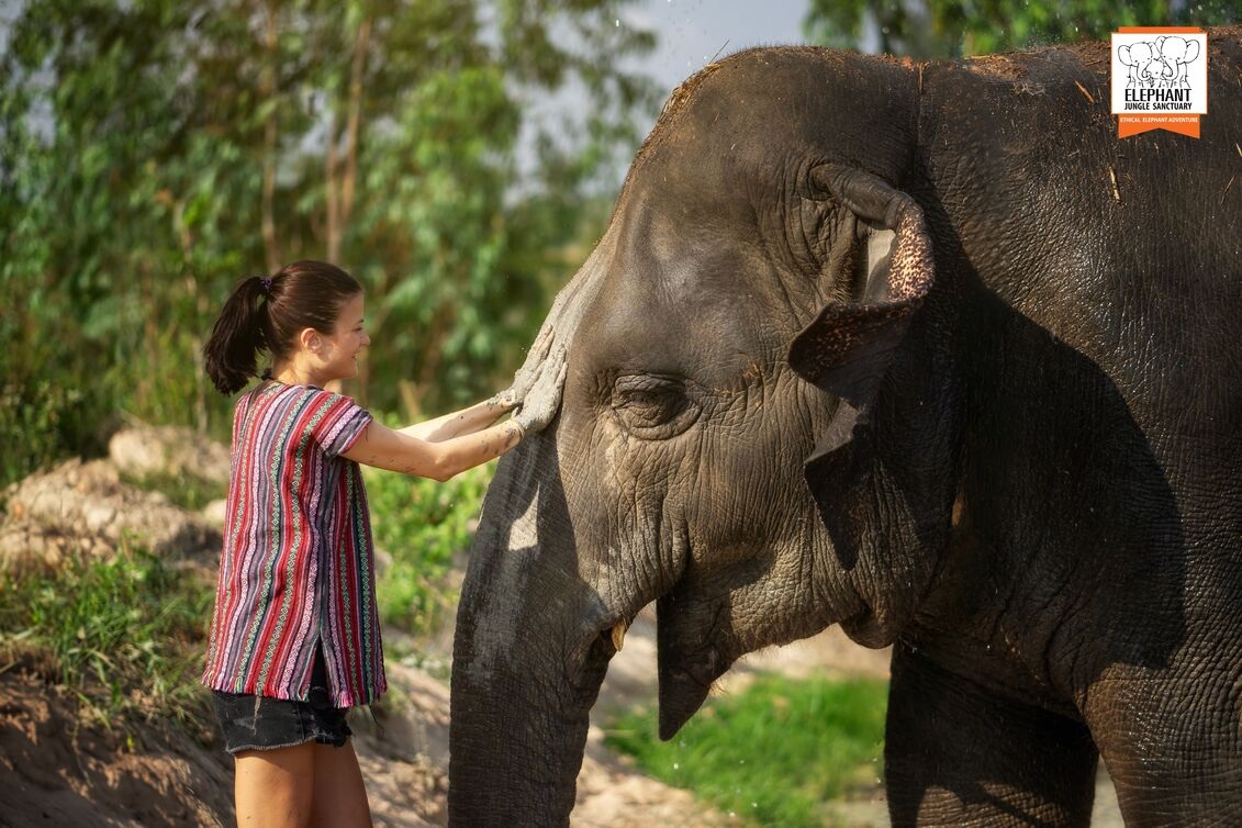 プランのご案内