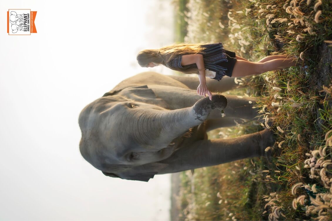 プランのご案内