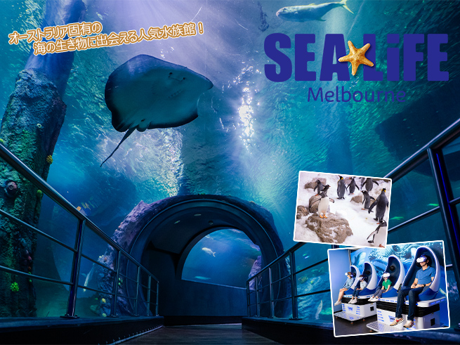 メルボルン水族館 入園チケット【シーライフ】