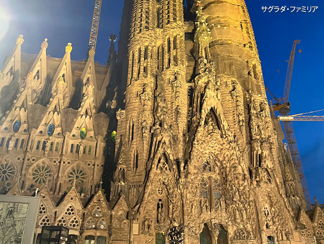 【フラメンコディナー＆夜景鑑賞付きプラン】では、夜はフラメンコディナー、サグラダ・ファミリアのライトアップまで堪能！