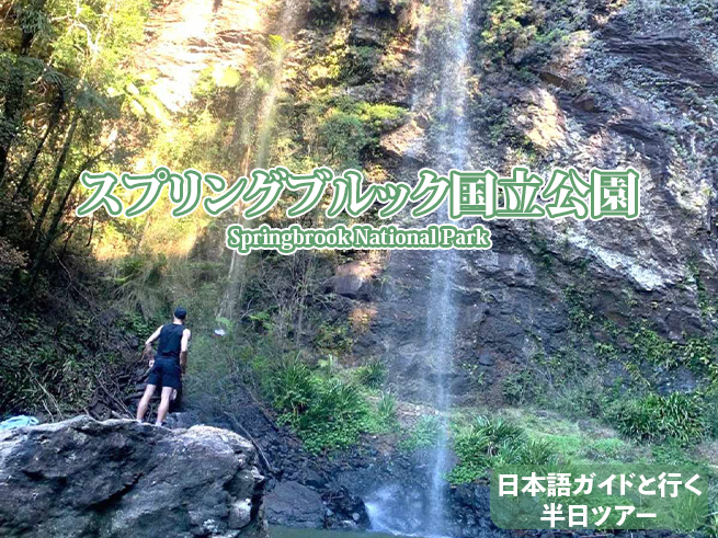世界遺産【ツインフォールズ滝ハイキング＆3大絶景】専用車・日本語ガイド