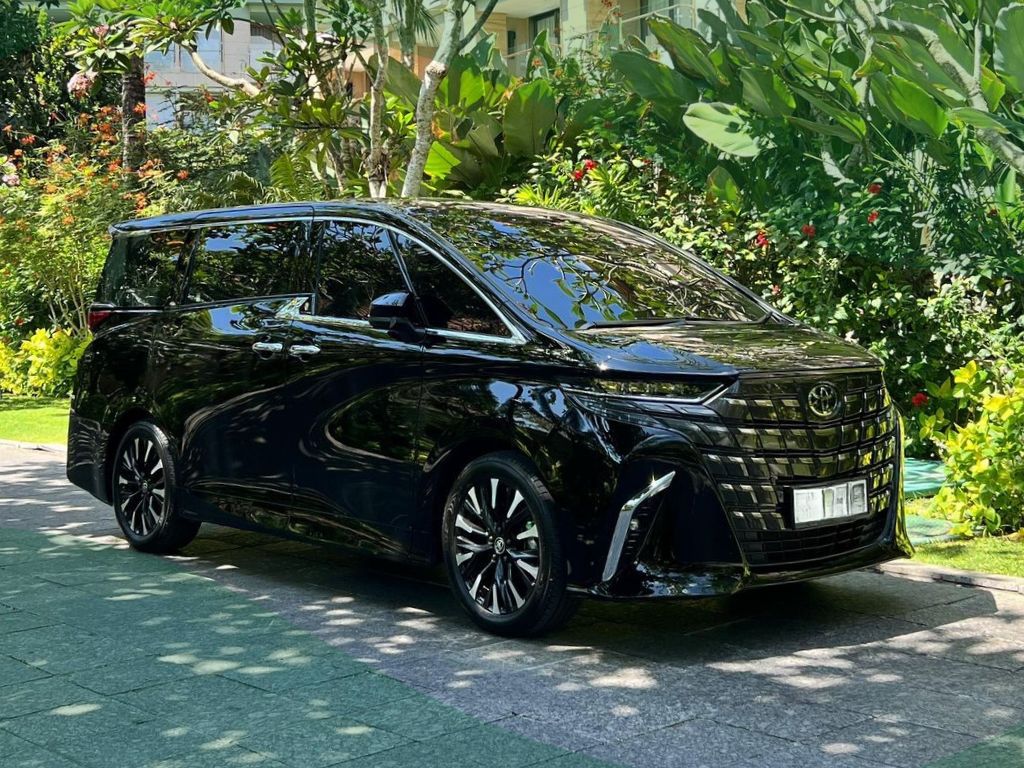 【貸切カーチャーター】高級車アルファード・日本語トップガイド付き（1～4名）