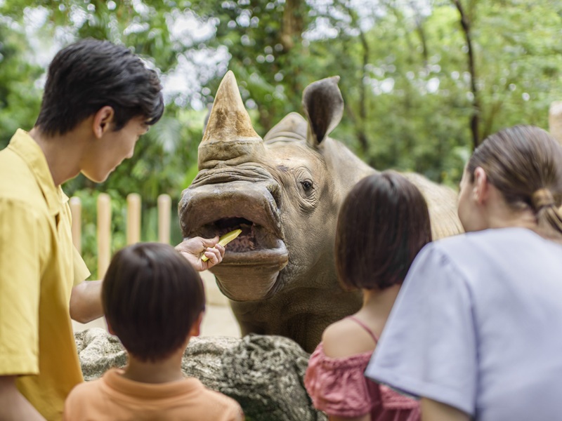 シンガポール動物園の5大魅力