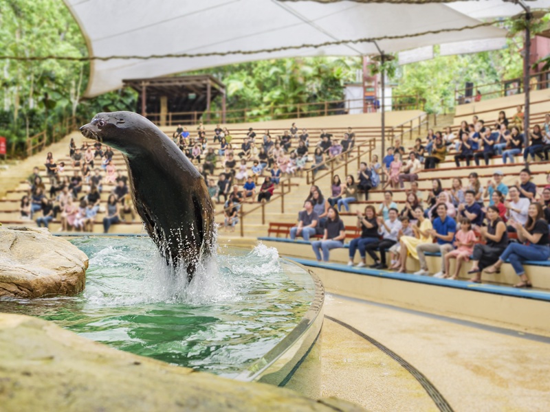 シンガポール動物園の5大魅力