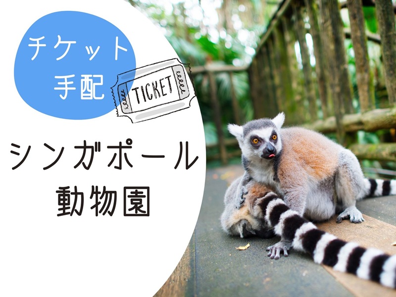 【チケット手配】＜人気アトラクション1日券＞ シンガポール動物園