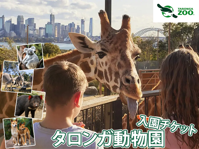 タロンガ動物園【入場チケット】シドニーの絶景と動物に出会う