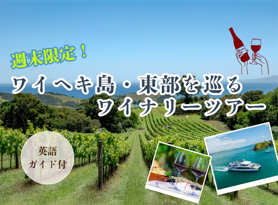 ★週末限定★ ワイヘキ島・東部を巡るワイナリーツアー 