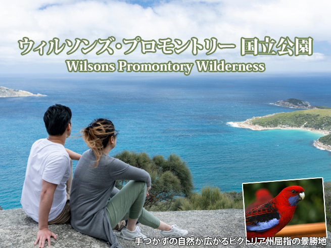 【ウィルソンズ・プロモントリー国立公園】絶景ネイチャーツアー（日本語ガイドアプリ対応）