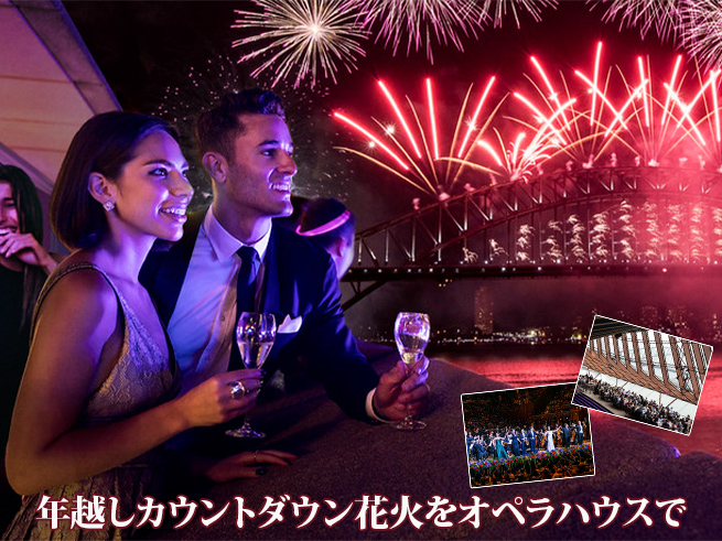 ✓華やかなディナー付きプランもチェック