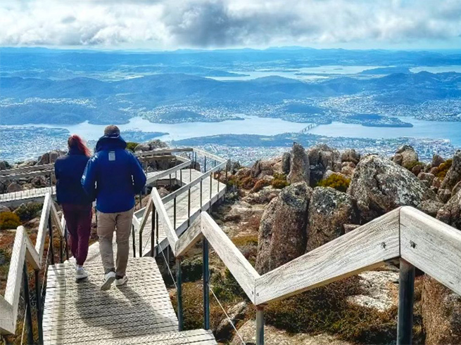 ウェリントン山からの絶景