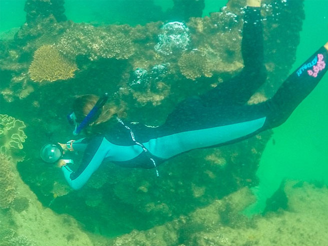 沈没船シュノーケリング体験