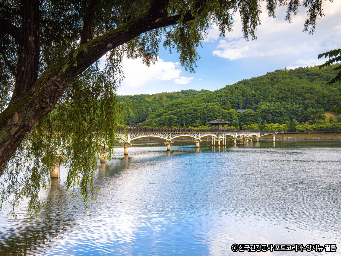 🌉月映橋で噴水ショーの鑑賞・散策⛲