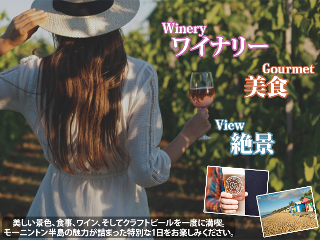 【美食とワインを満喫】モーニントン半島ワイナリー巡り（ランチ・ワインテイスティング・クラフトビール付）
