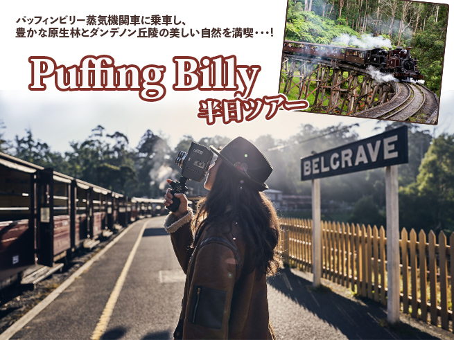 パッフィンビリー蒸気機関車とダンデノンの森を巡る感動の旅（日本語ガイドアプリ対応）