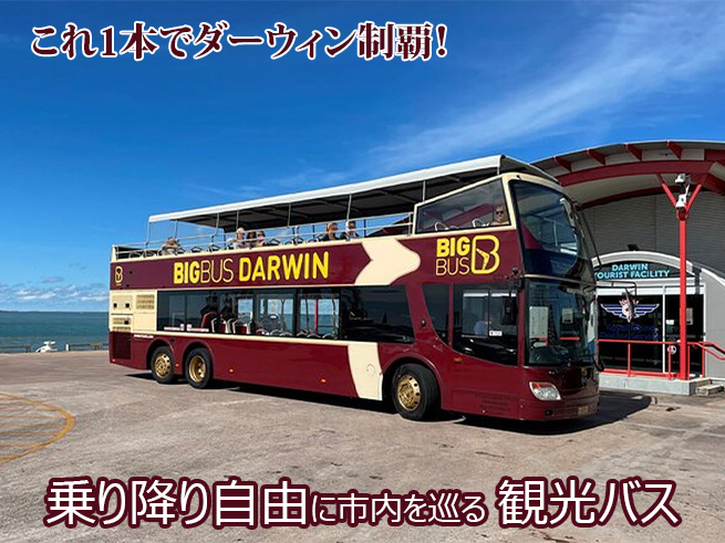【ビッグバス】乗り降り自由にダーウィン市内観光！オープントップバス（英語音声ガイド付）