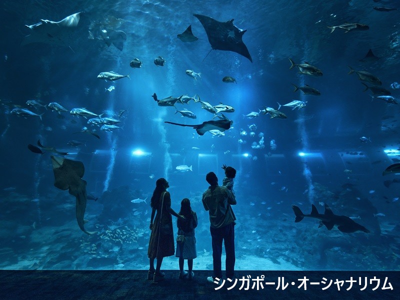 🐠 シンガポール・オーシャナリウム